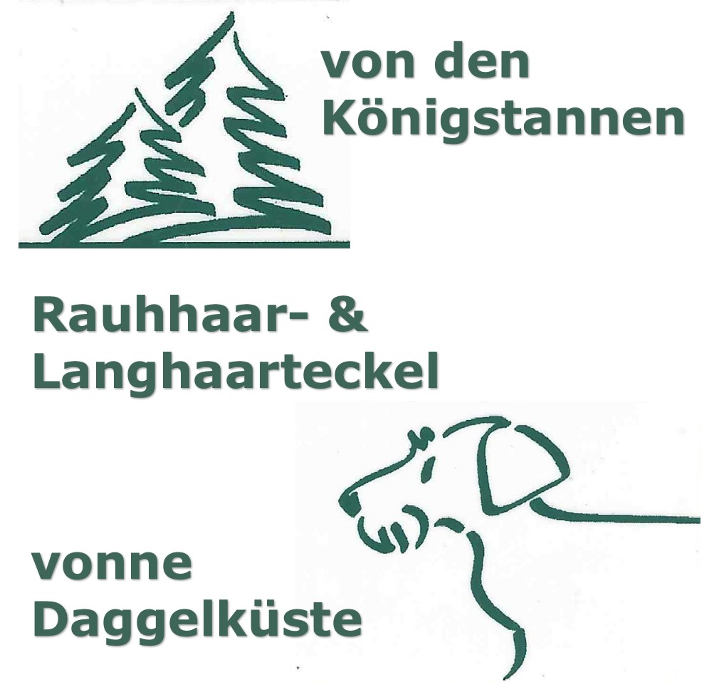 www.koenigstannen.de